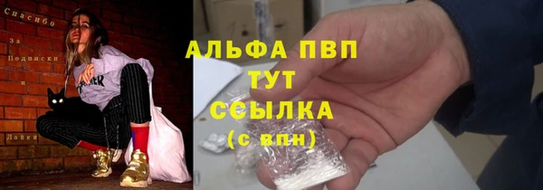 mdpv Богородицк