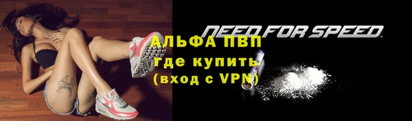 тгк Богданович
