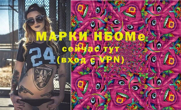 mdpv Богородицк
