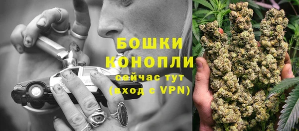тгк Богданович